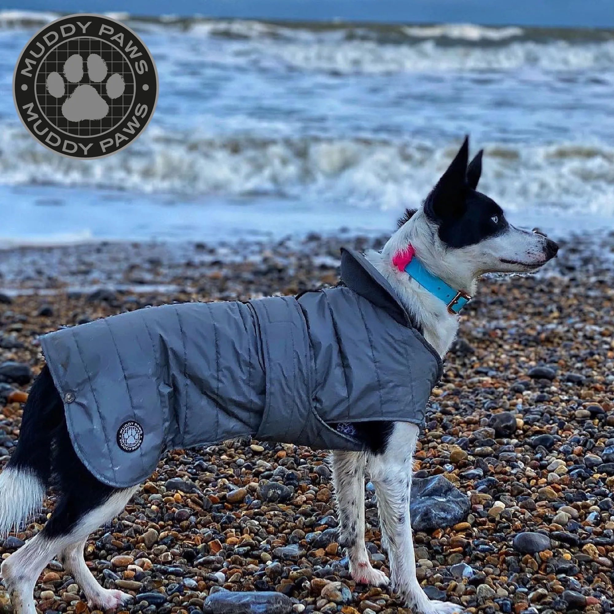 Ancol Ultimate Fully Reflective Dog Jacket