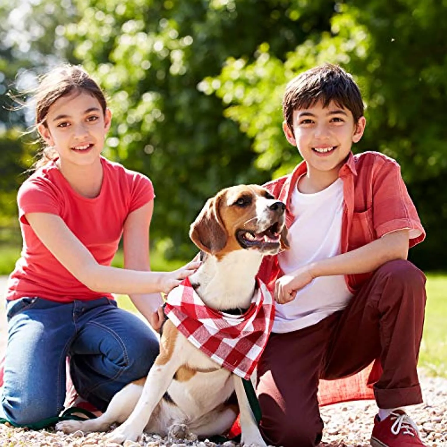 Dog Bandanas - Triangle Dog Scarf, Washable Reversible Printing