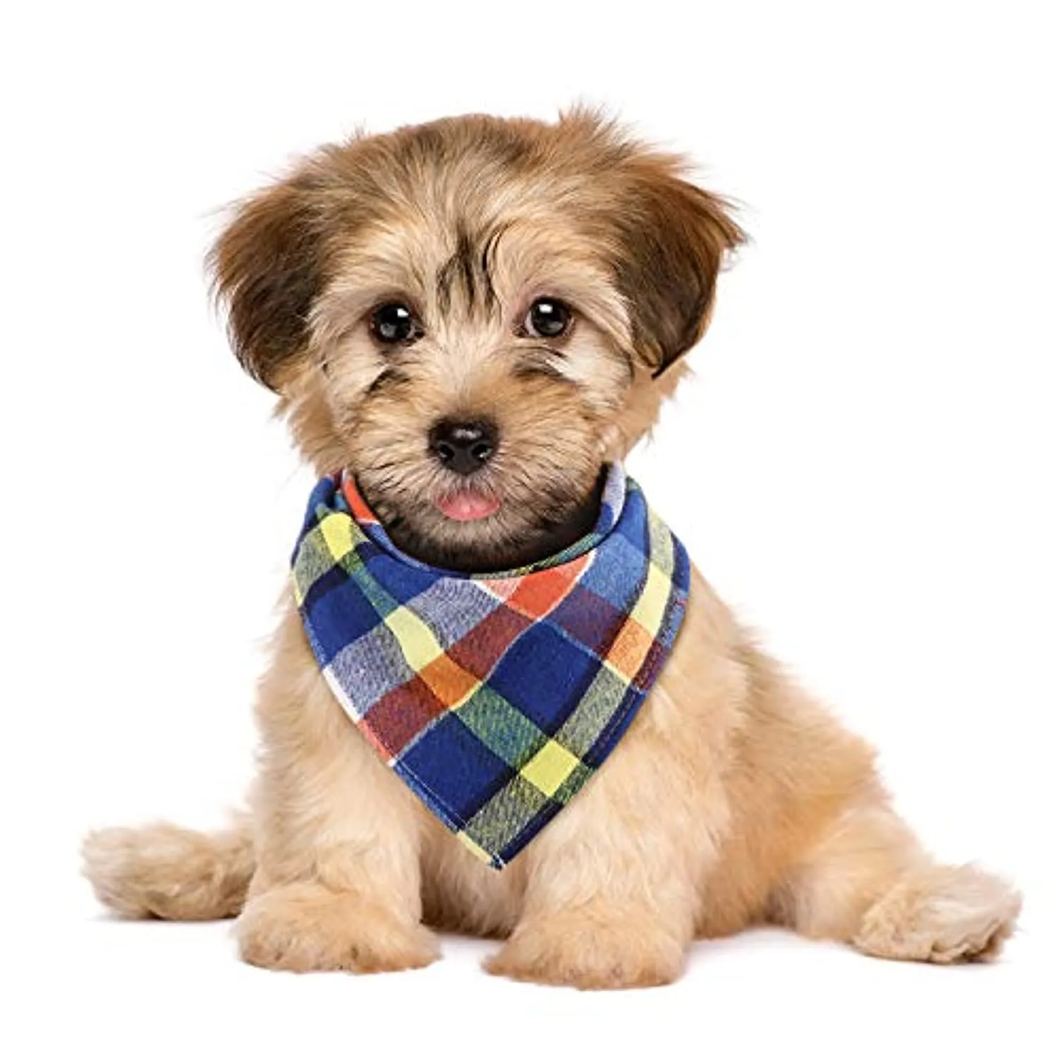 Dog Bandanas - Triangle Dog Scarf, Washable Reversible Printing