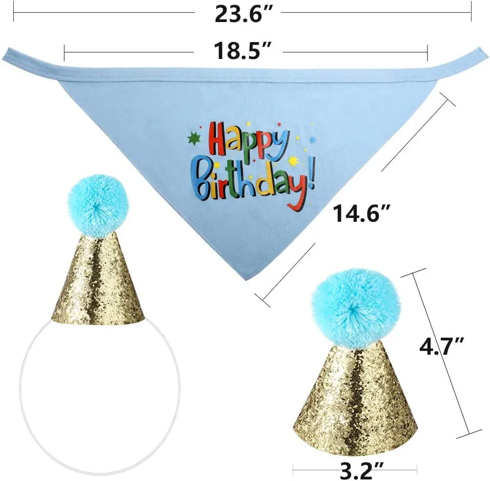 Dog Birthday Bandana & Hat Set - Meet Party Pup! 🎉🐾