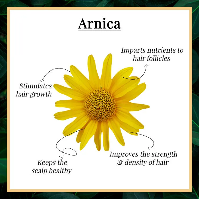 Good Vibes Damage Control Hair Mist - Arnica (50ml)