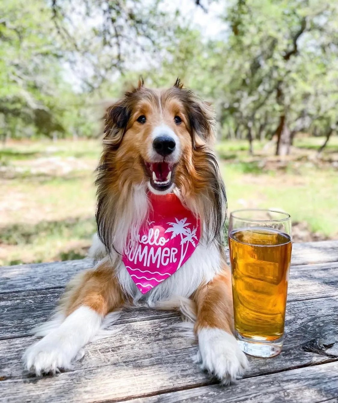 Hello Summer Cooling Bandana