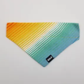 MEDIUM RETRO SARAPE DOG BANDANA 196