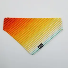 MEDIUM RETRO SARAPE DOG BANDANA 203