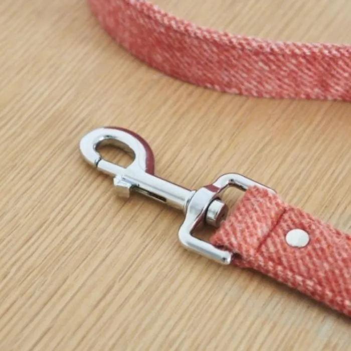 Sweet William - Tweed Dog Lead - Orange