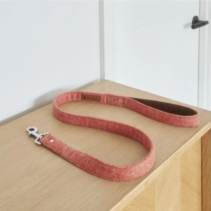 Sweet William - Tweed Dog Lead - Orange