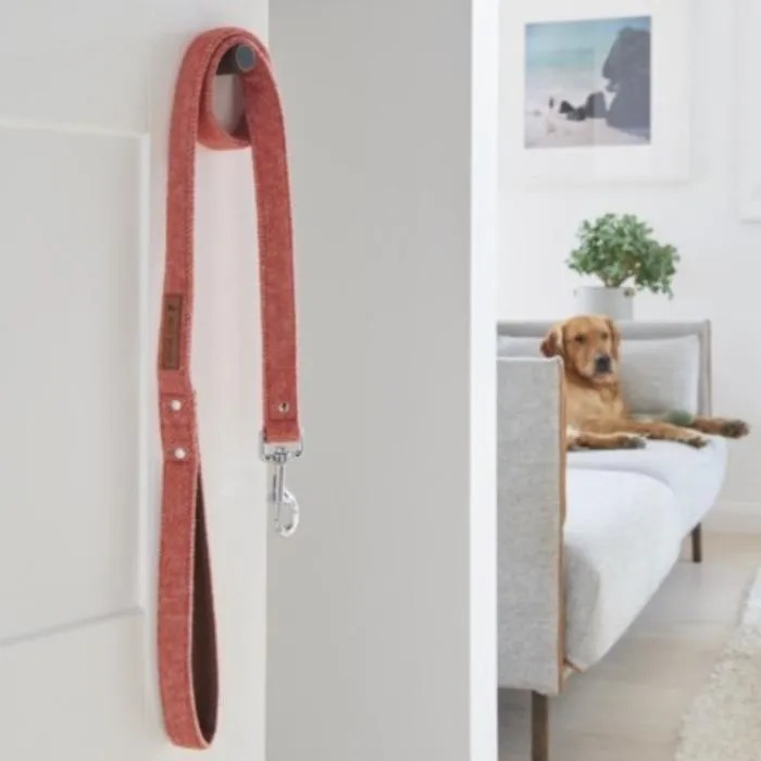 Sweet William - Tweed Dog Lead - Orange